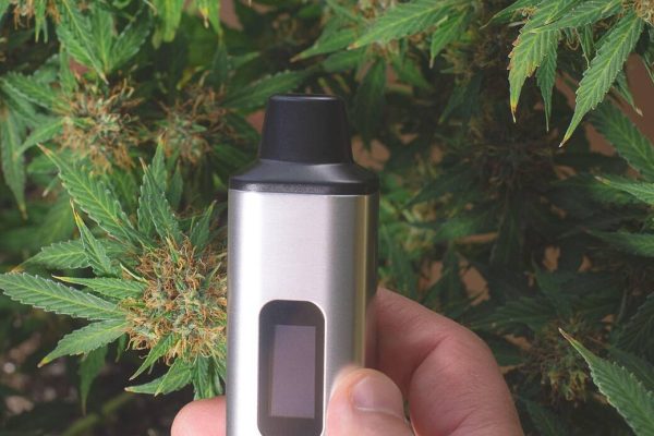 Why You Should Invest In A Dry Herb Vape In 2024